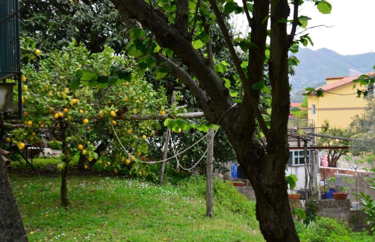 Casaventre Apartment Vietri Luaran gambar